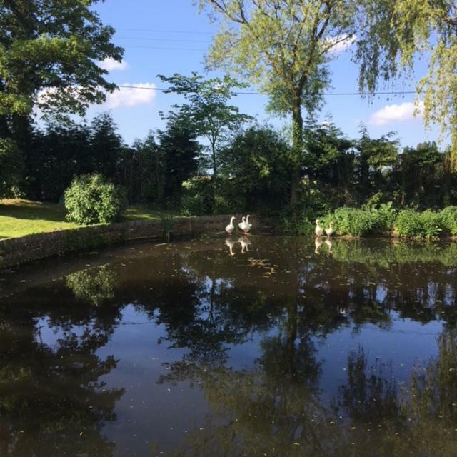 Au Coeur De La Flandre Apartment Noordpeene Luaran gambar