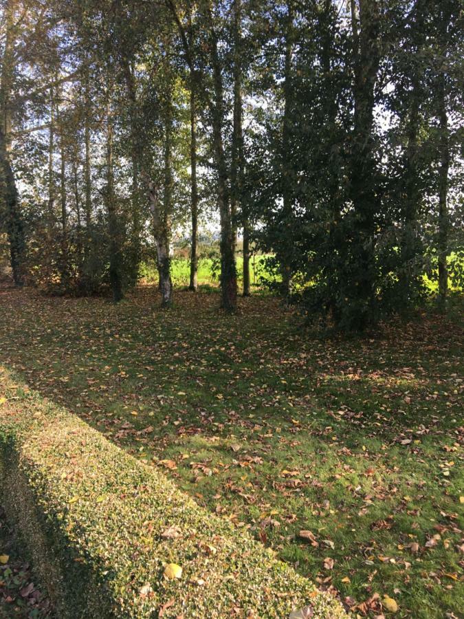 Au Coeur De La Flandre Apartment Noordpeene Luaran gambar