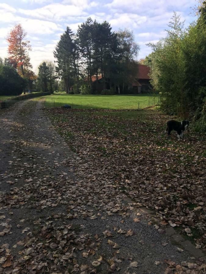 Au Coeur De La Flandre Apartment Noordpeene Luaran gambar