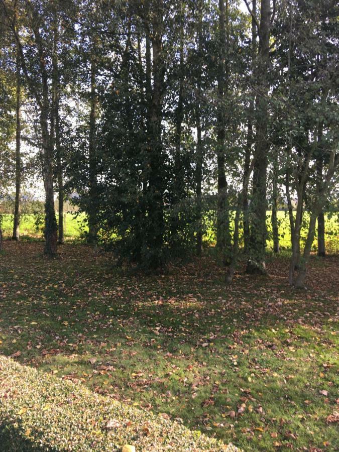 Au Coeur De La Flandre Apartment Noordpeene Luaran gambar