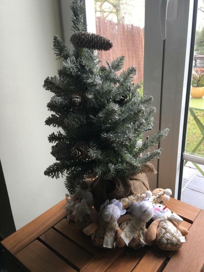 Au Coeur De La Flandre Apartment Noordpeene Luaran gambar